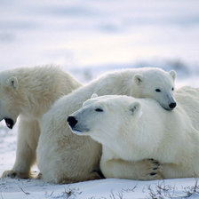 Схема вышивки «мишки»
