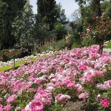 Схема вышивки «розарий»