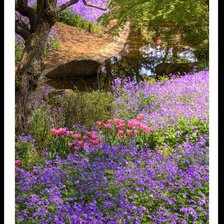 Схема вышивки «цветы»