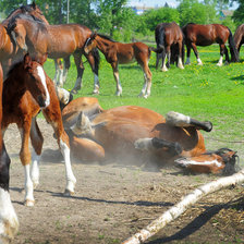 Схема вышивки «лошади»