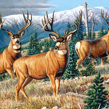 Схема вышивки «олени»