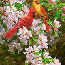 Схема вышивки «птички»