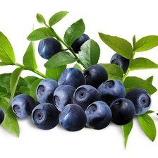 Схема вышивки «голубика»