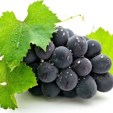 Схема вышивки «виноград»