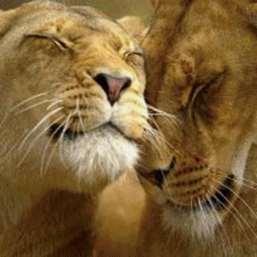 №844721 - предпросмотр