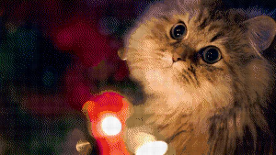 Кошка - кошка, пушистик - предпросмотр