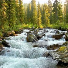 Схема вышивки «река»