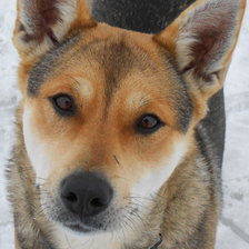 Схема вышивки «Ача»