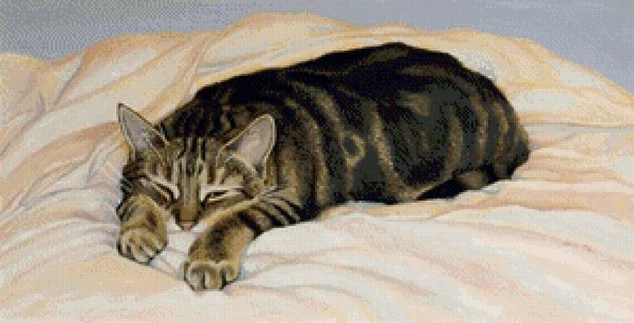 блаженство - кот, котики, коты - предпросмотр