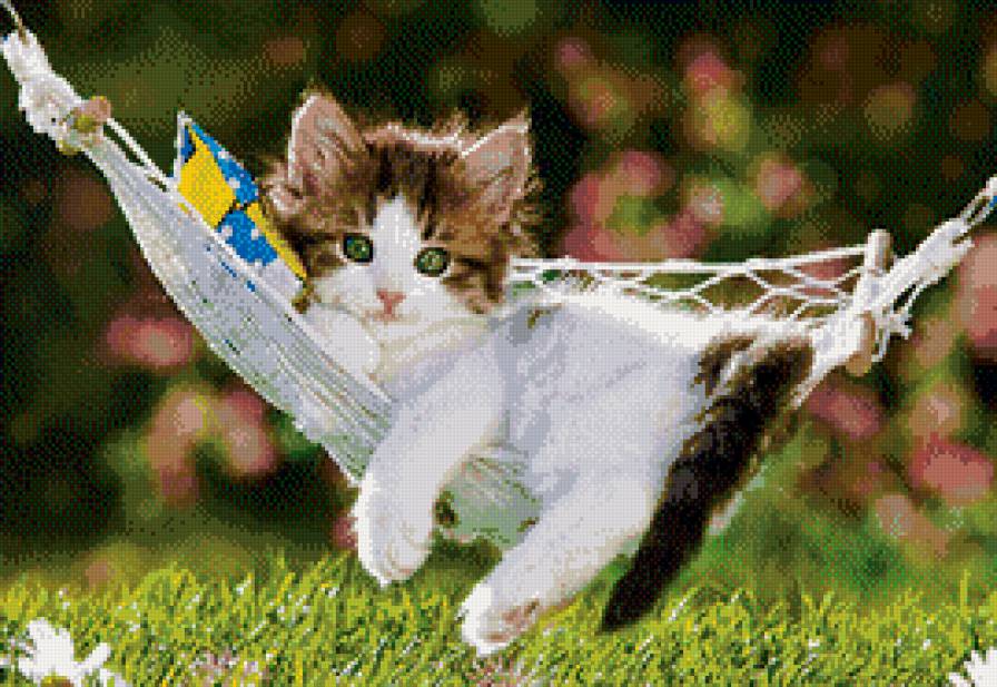 котенок - котик, лето, кот, котята, кошка, гамак, отдых, животные, кошки - предпросмотр