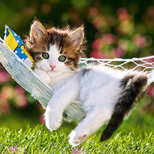 Схема вышивки «котенок»