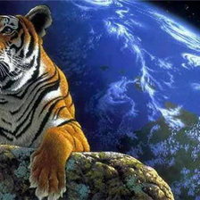 Схема вышивки «защитник»