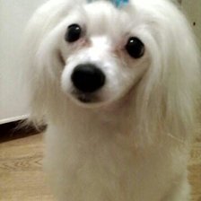 Схема вышивки «бонька»