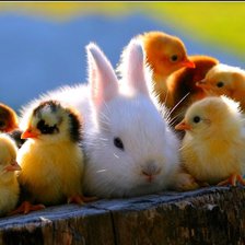 Схема вышивки «№845177»