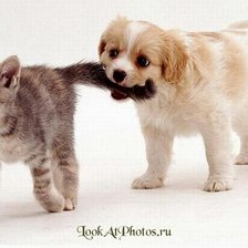 Схема вышивки «№845178»