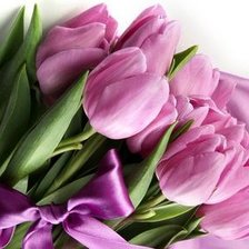 Схема вышивки «тюльпаны»