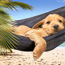 Схема вышивки «отдых»