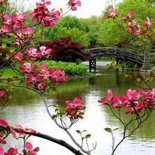 Схема вышивки «природа»