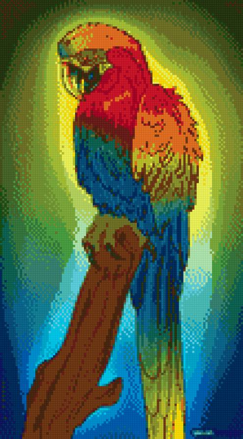 Попугайчик - попугай, попугайчик, птица, гамма - предпросмотр