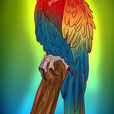 Схема вышивки «Попугайчик»