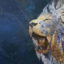 Схема вышивки «рык»