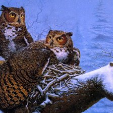 Схема вышивки «на гнезде»