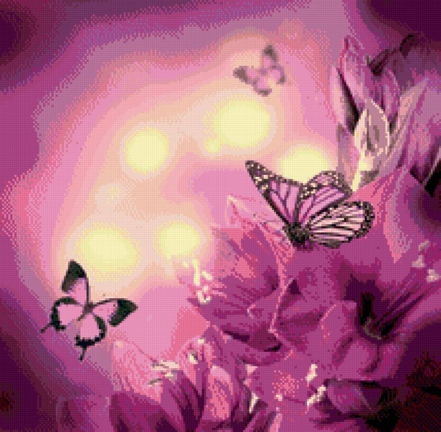 бабочки на гладиолусе - цветы, природа, бабочки - предпросмотр