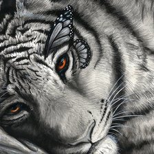 Схема вышивки «Тигренок»