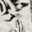 Предпросмотр схемы вышивки «белый красавец» (№845737)