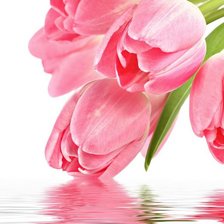 Схема вышивки «тюльпаны»