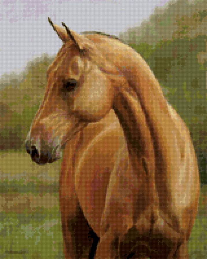 Лошадь - животные, конь, природа, лошадь - предпросмотр