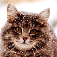 Схема вышивки «киса»