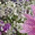Предпросмотр схемы вышивки «маленький букетик» (№846063)