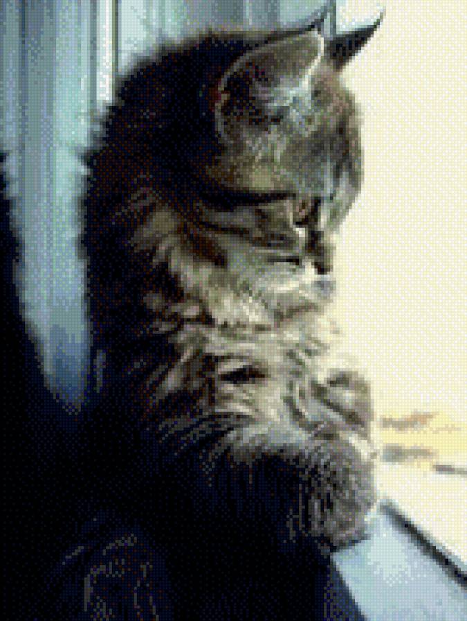 Котэ - предпросмотр