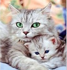 Схема вышивки «Мама и малыш»