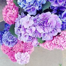 Схема вышивки «Цветы»