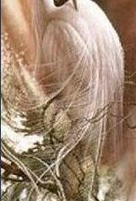 Схема вышивки «№846383»