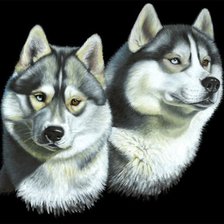 Схема вышивки «лайки»