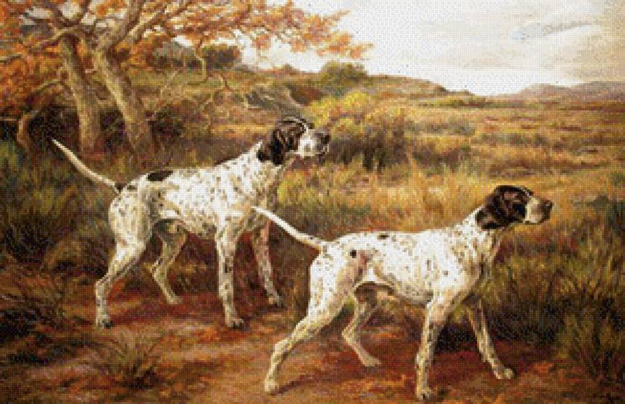 охотники - легавые, природа, собаки - предпросмотр