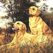 Схема вышивки «лабладоры»