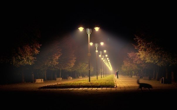 Любовь дарит свет - фонарь, влюбленные, ночь - оригинал