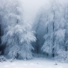 Схема вышивки «Чудеса всегда рядом»