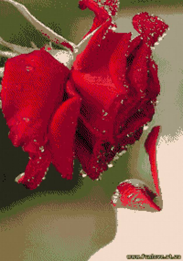 губы - предпросмотр