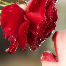 Схема вышивки «губы»