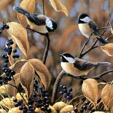 Схема вышивки «Синички»