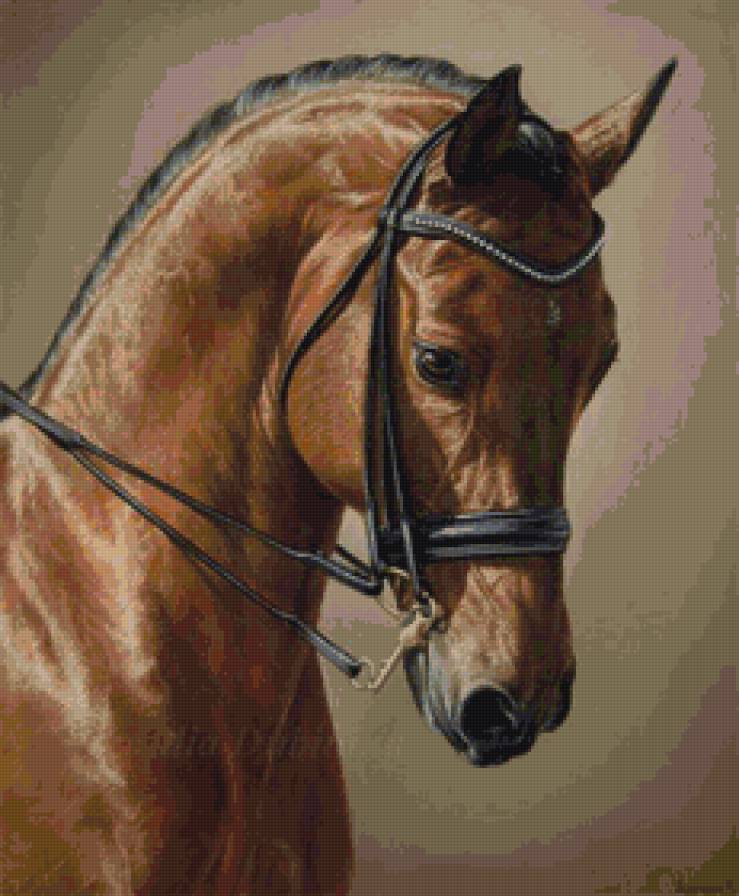 Лошадь - конь, животные, лошадь - предпросмотр