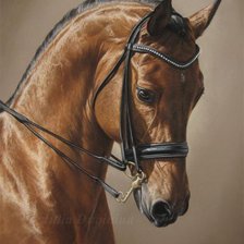 Схема вышивки «Лошадь»