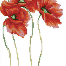 Схема вышивки «маки 3»