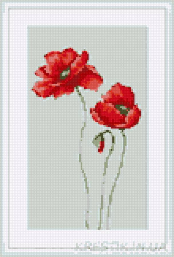 маки4 - маки.цветочки - предпросмотр