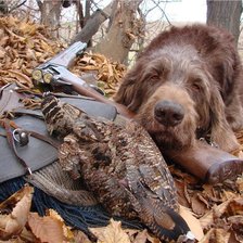 Схема вышивки «дратхаар»